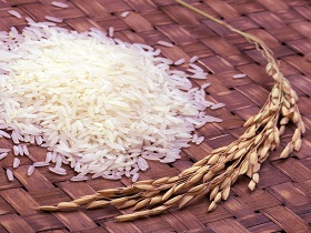 arroz blanco pulido brasileño exportación